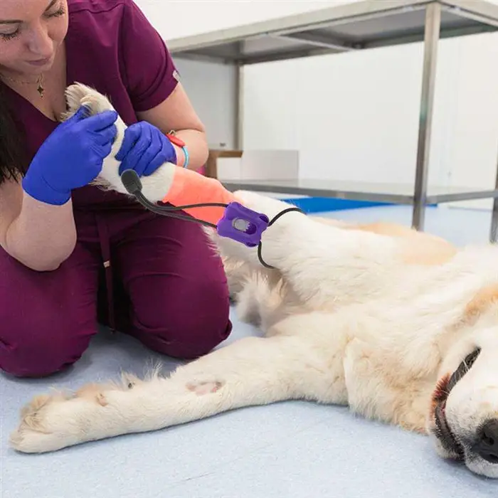 Tourniquet pour animaux de compagnie