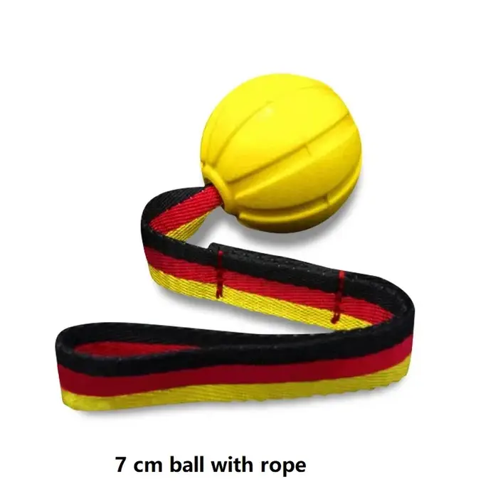 Balles de jouets pour chiens sur une corde pour chiens de petite, moyenne et grande taille, balle in