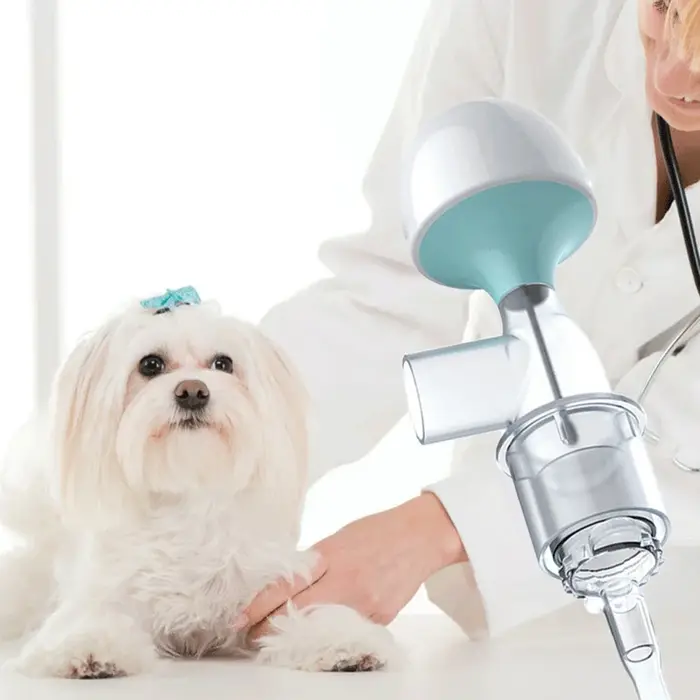 Alarme respiratoire pour chat et chien, alarme de suffocation respiratoire, surveillance respiratoir