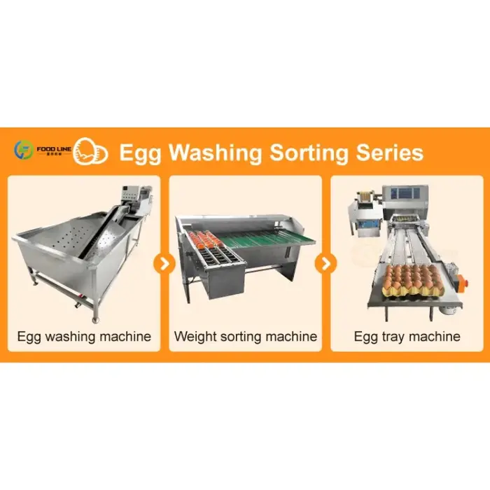 Équipement de pesage et de calibrage commercial robuste sur mesure pour l'agriculture, machine à peser les œufs, machine de tri et d'emballage des œufs