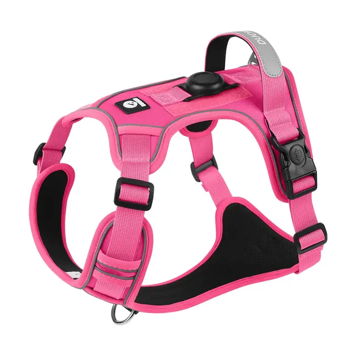 Harnais de support Airtag pour chien de taille moyenne et grande, gilet réfléchissant anti-fuite ave