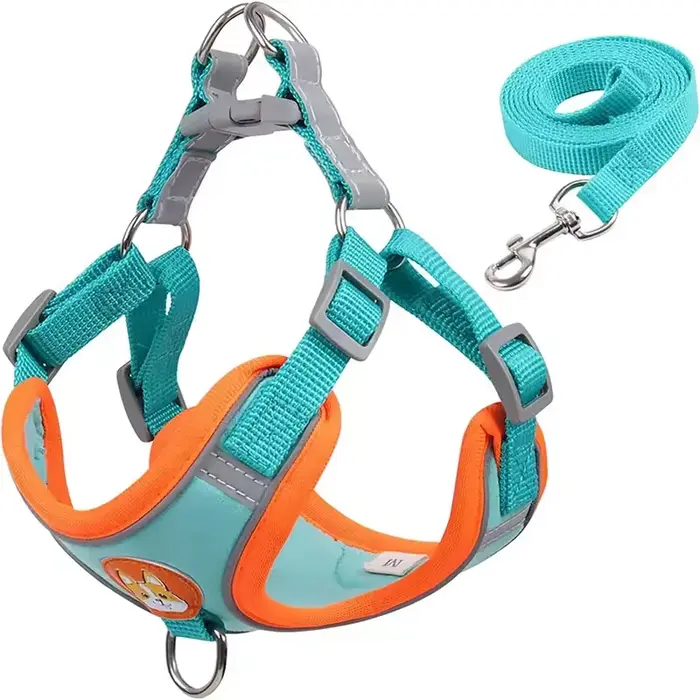 Harnais pour animaux de compagnie, gilet réfléchissant pour chiens, laisse de traction rétractable p