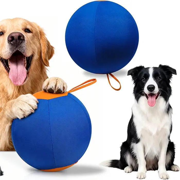 Balle interactive pour l'entraînement des chiens