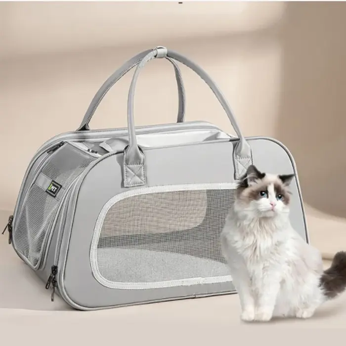 Sac de Transport pour chien lapin endormi, pochette de Transport pour chat, cartes de voyage d'entra