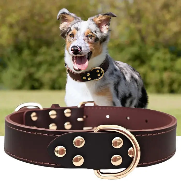Collier pour chien en cuir véritable de première qualité