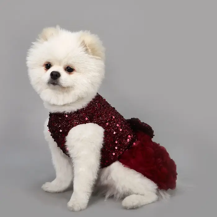 Robe élégante pour animaux de compagnie pour chiens et chats – Maille à paillettes sans manches avec
