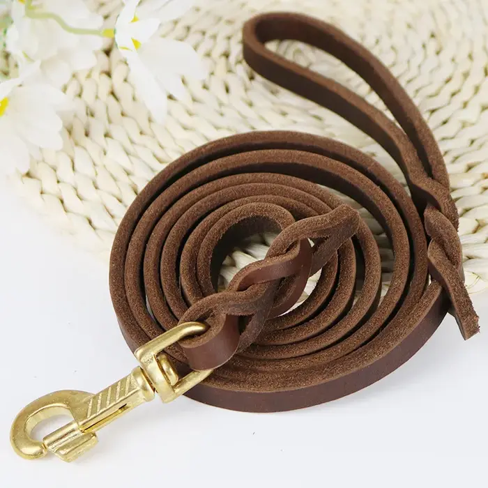 Laisse longue tressée en cuir véritable pour chiens, laisses d'entraînement pour animaux de compagni
