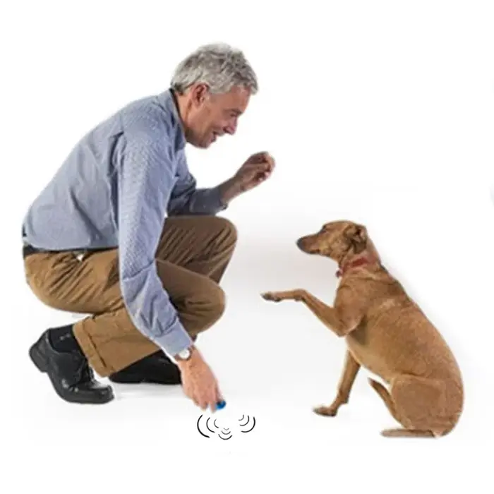 Sifflet multifonction 2 en 1 pour chiens entraînement et dressage outil polyvalent pour promenades et jeux occassions spéciales