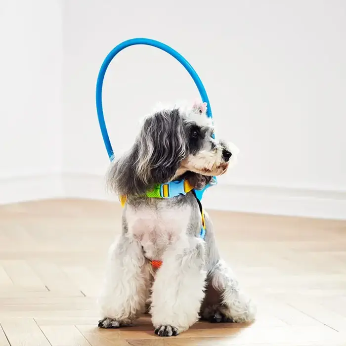 Cercle anti-collision réglable pour chien ennemi