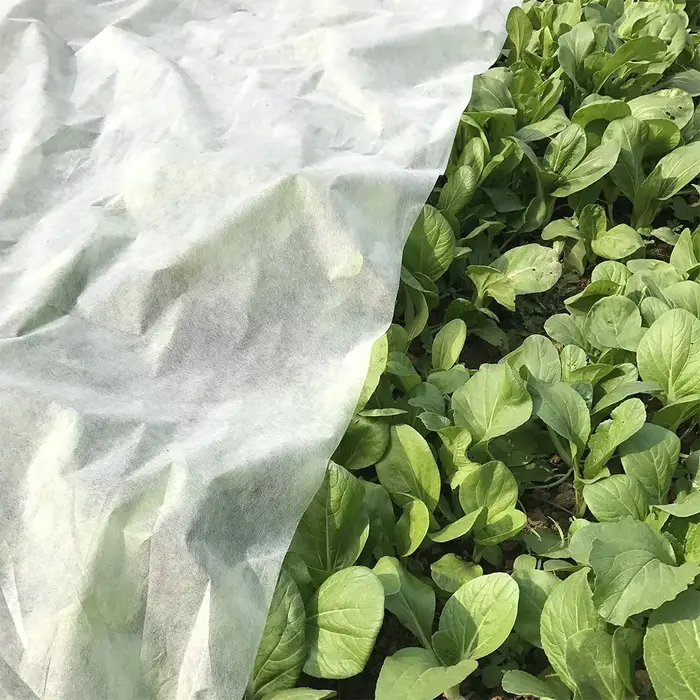 NucleoCover Flottant Plant Blanket, 0.55 oz. 7 ft x 100 ft, Frost Protection and Terrible Weather De