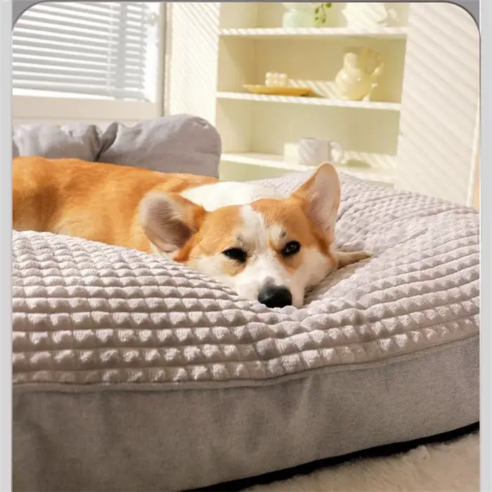 Canapé pour chien grand confort automne et hiver