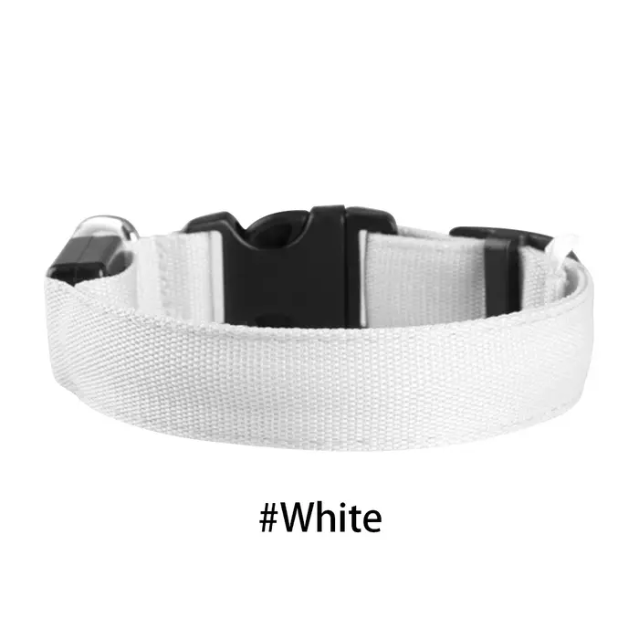 Collier de chien LED brillant Anti-perte produits pour animaux de compagnie colliers de sécurité de 