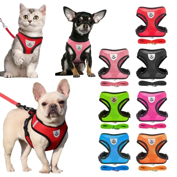 Harnais et laisse pour petit chien et chat en maille respirante, harnais pour chaton, petit chien, chiot, bouledogue français, Chihuahua, carlin