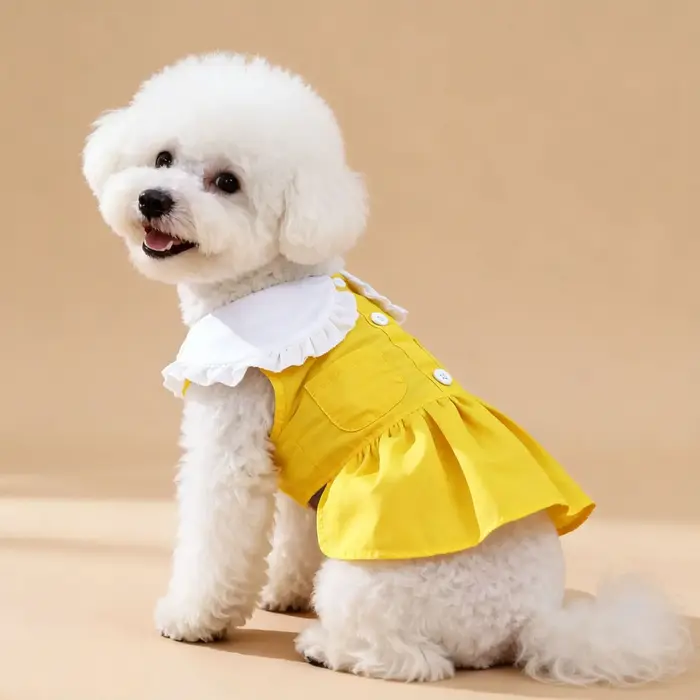Robe d'été fine pour chien avec col Peter Pan, style étudiant mignon, vêtements pour animaux de comp