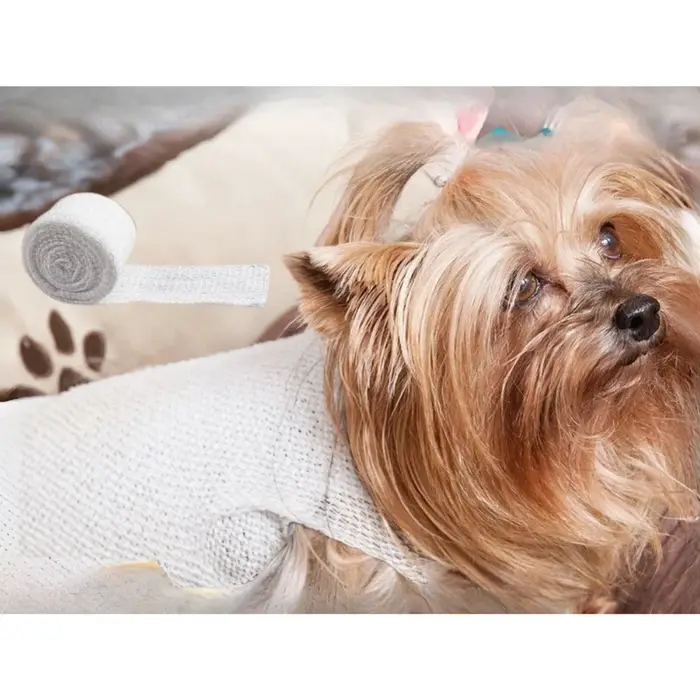 Bandage en maille élastique jetable-enveloppe respirante vétérinaire pour chiens et chats, utilisati
