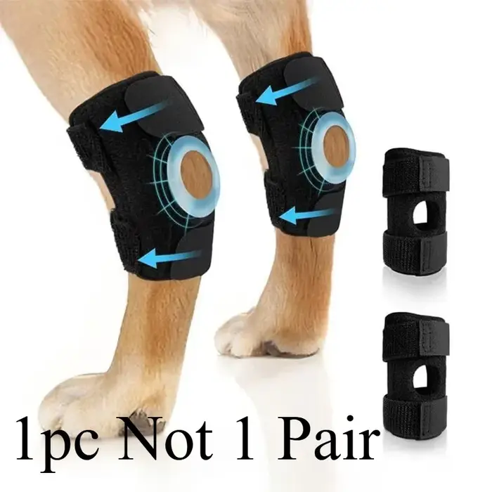 Récupération des blessures, protection contre l'arthrite du chien, soutien, protège la bandage, geno