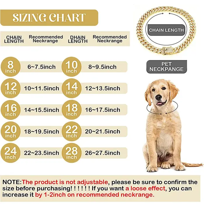 Collier de chaîne de luxe en or pour chien