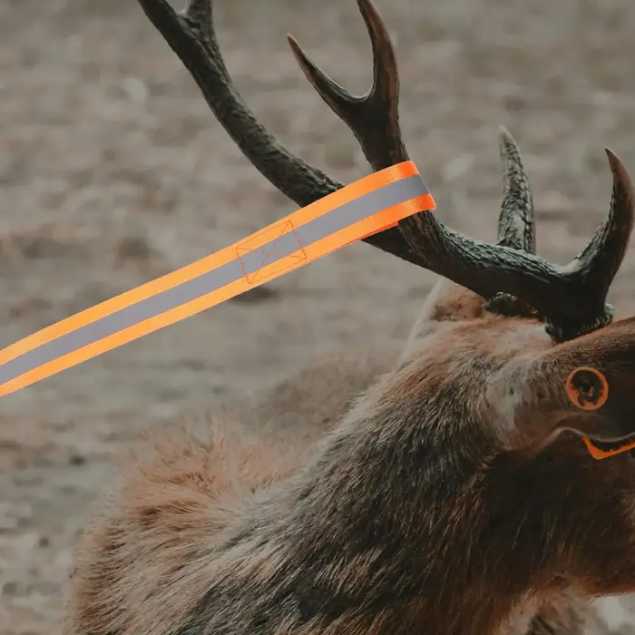 Corde de traction cerf réfléchissante avec poignée - Équipement robuste pour déplacer le gibier