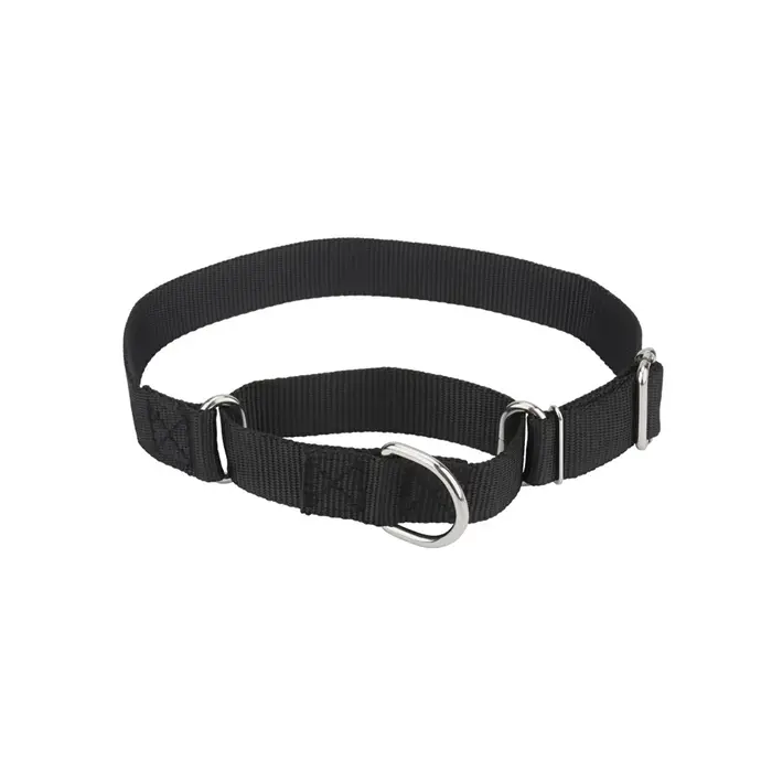 Collier Martingale pour chiens, collier pour chien avec boucle en métal Durable, colliers réglables 