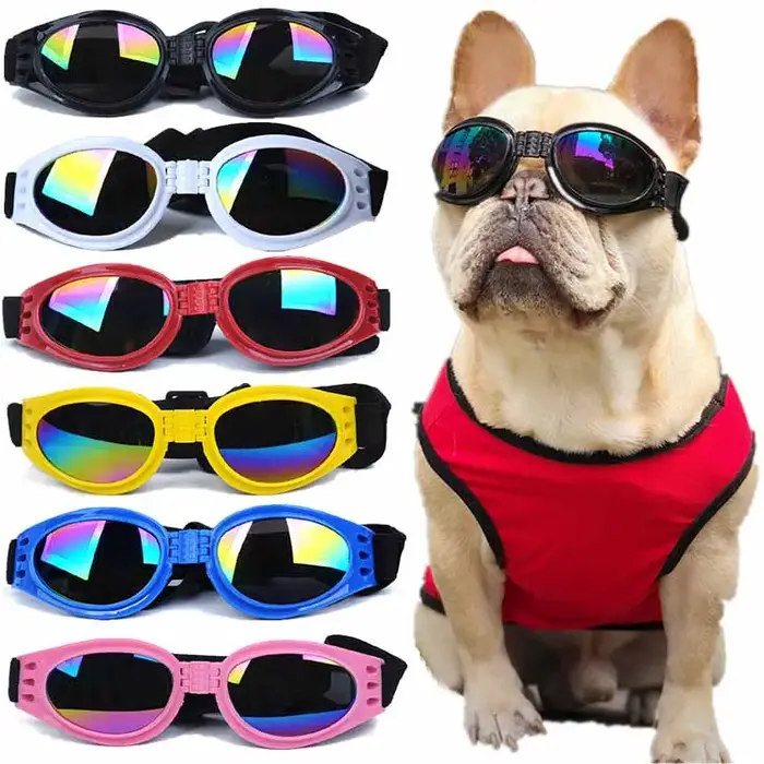 Lunettes de soleil pliables pour animaux de compagnie