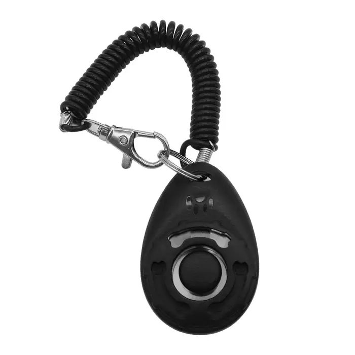 Clochette d'entraînement pour chien, jouet interactif pour chien et chat, outil d'entraînement pour 