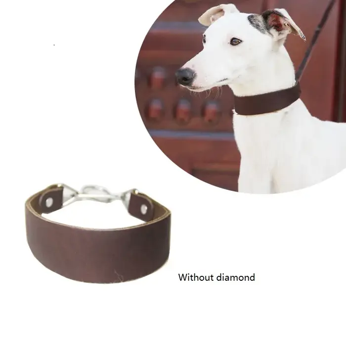 Collier et laisse en cuir pour chien, colliers pour Greyhound et Whippet, cordes d'entraînement pour