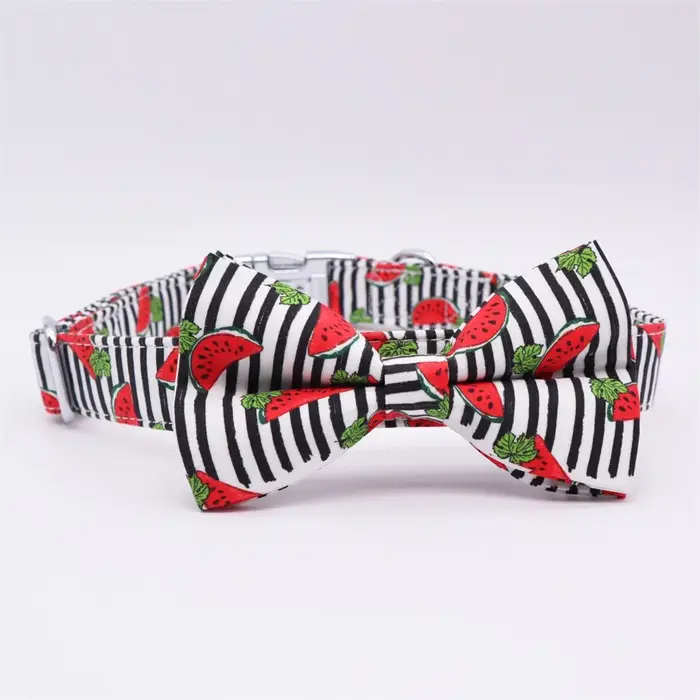 Collier de chien personnalisé, laisse à fleurs avec SFP assressenti, banandana, ensemble de sacs à c
