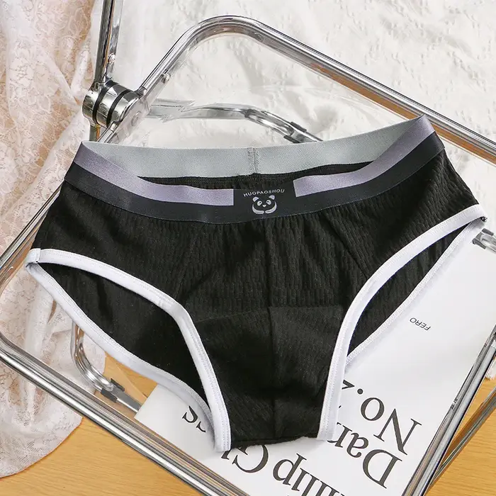 Culotte homme Sexy sous-vêtements en coton homme mi-hauteur pantalon confortable doux Slip caleçon r