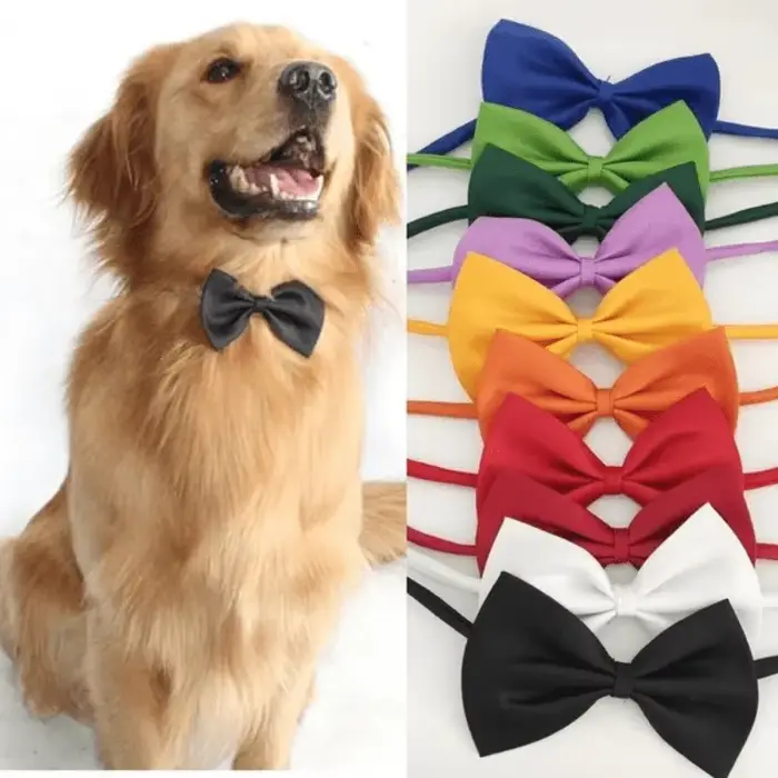 Collier à nœud papillon pour animaux de compagnie élégant et réglable pour chiens et chats occasions spéciales cadeau unique