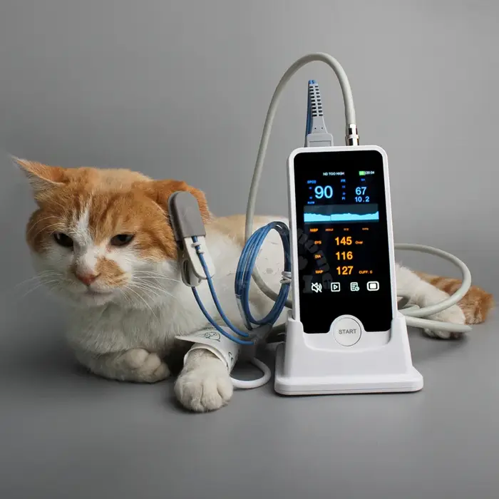 Vétérinaire Animal chien chat moniteur sphygmomètre portable NIBP SPO2 fonction Patient
