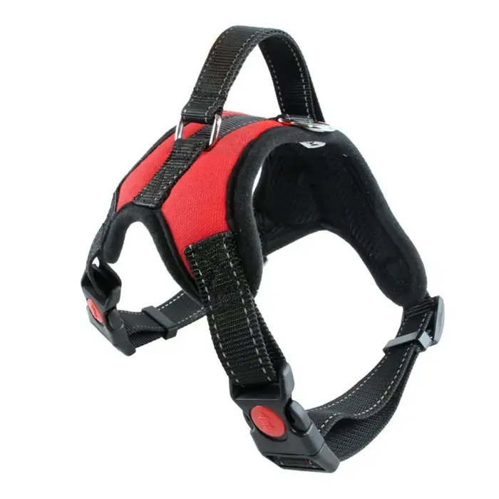 SFP Bathing Glafor Dogs, Small, Medium and Large Pet Shop, Everything for Dogs, Golden Retriever, Ch