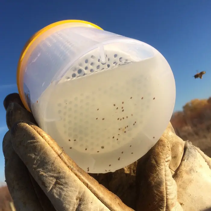 Test Varroa pour ruche, secoueur Varroa confortable à utiliser pour l'apiculteur, outil de mesure de