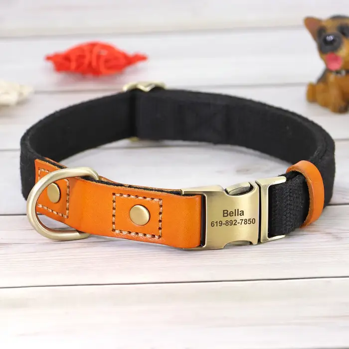 Collier en nylon avec nom personnalisé pour grand chien, étiquette d'identification pour animal de c