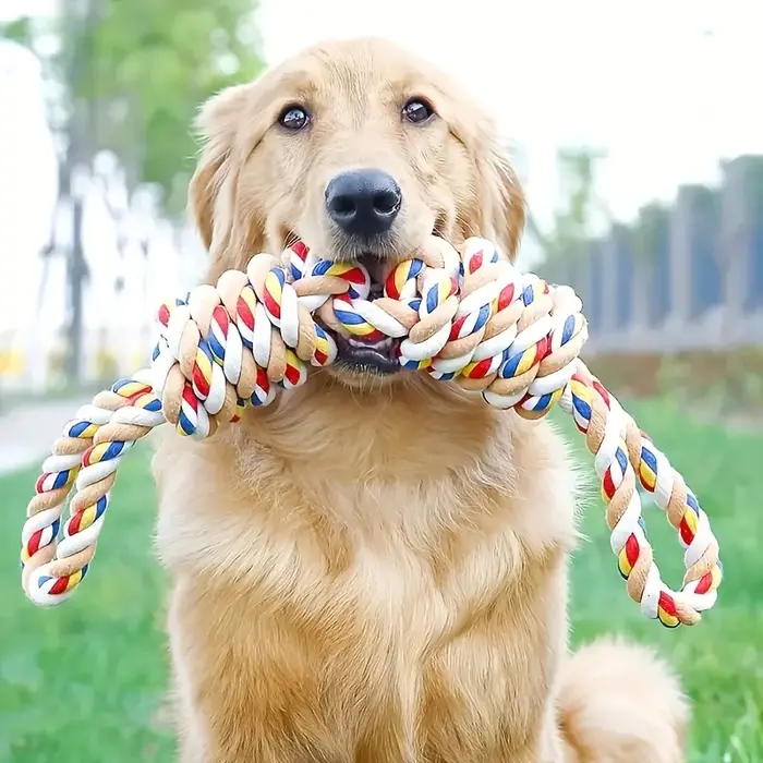 Jouet de corde de nettoyage des dents Durable de 45cm pour chiens-jouets interactifs à mâcher et à jouer pour animaux