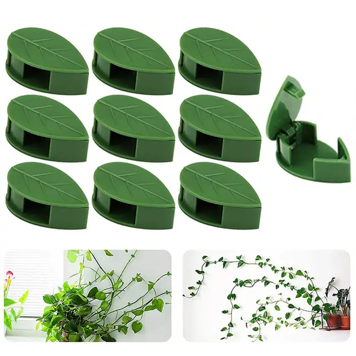 Clips de fixation murale grimpante pour plantes, autocollant acrylique, crochet auto-adhésif, suppor
