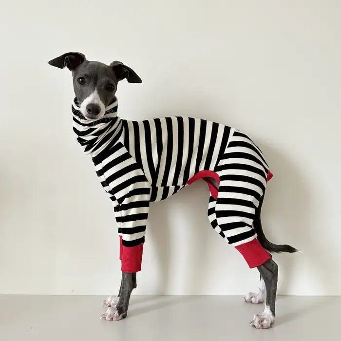 Manteau en coton à 4 pattes pour chien lévriers, vêtements de détente, printemps-automne, Whippet, s