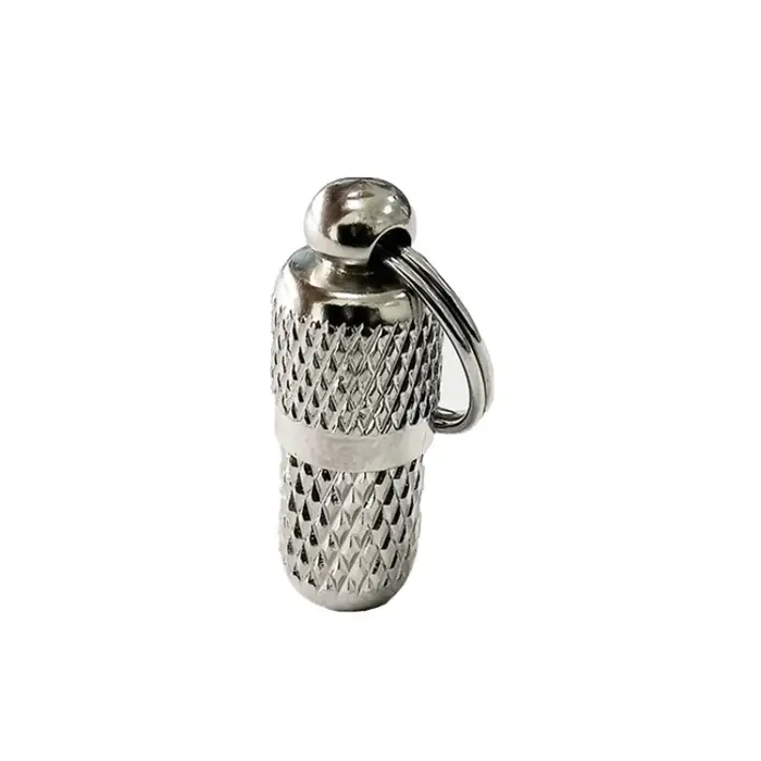 Étiquettes nominatives pour chien et chat, collier pour animaux de compagnie, porte-clés, plaque sig