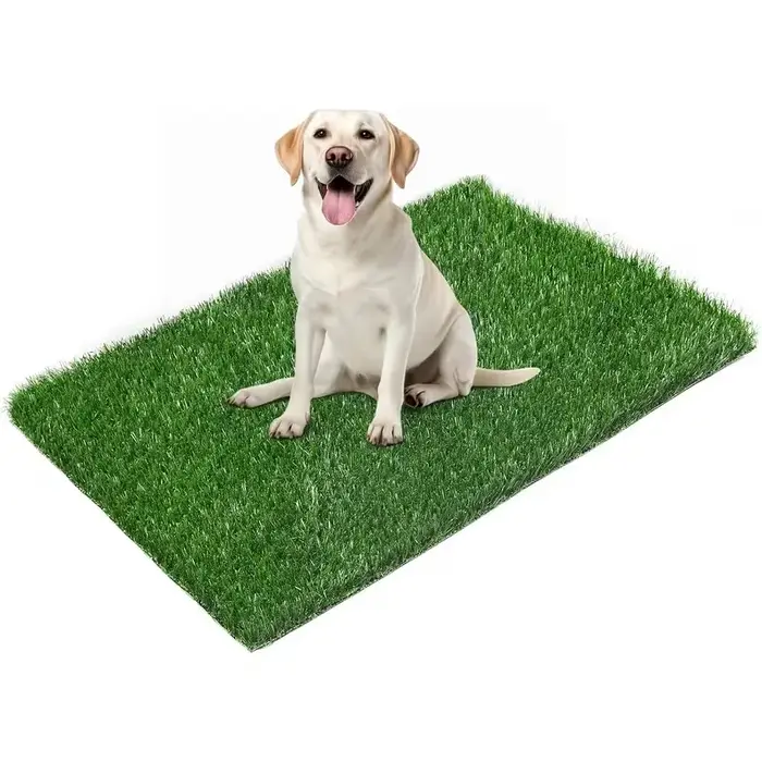 Tapis d'entraînement lavable et réutilisable pour chien, anti-odeur, avec support antidérapant, faci