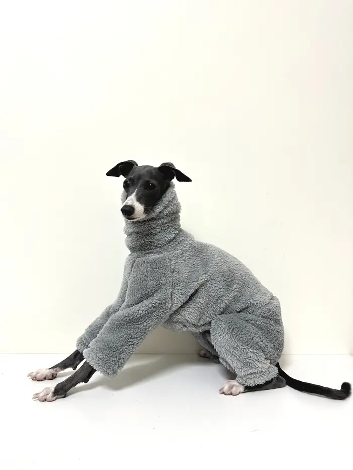 Greyhound italien Double face chien gris vêtements col roulé chaud polaire chien manteau Whippet Jam