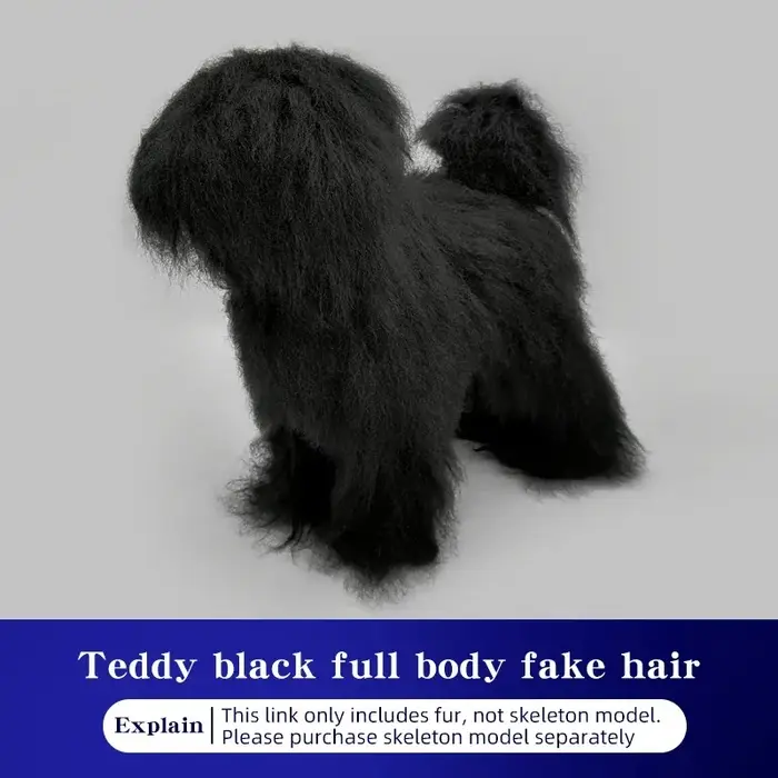 Modèle de chien Teddy pour la simulation de poils d'animaux, modèle de squelette complet pour la bea