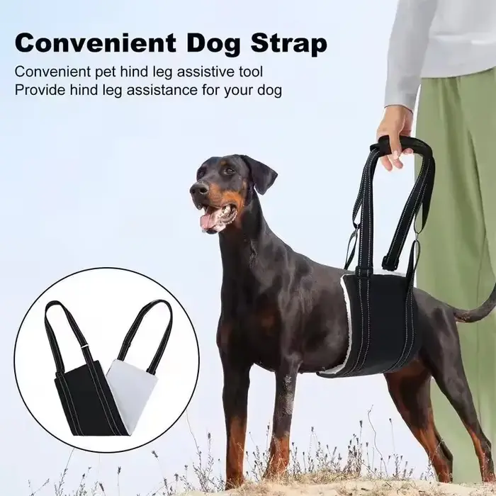Écharpe réglable pour chien