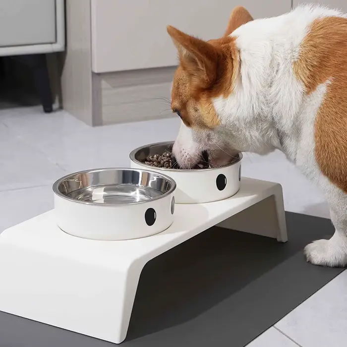 Bols surélevés pour mangeoire pour chien