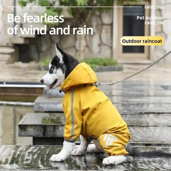 Manteau imperméable réfléchissant pour chien