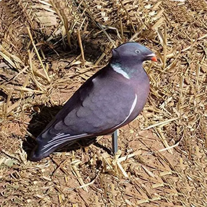Housses leurres pigeon 3D réalistes tissu flexible corps entier ailes blanches