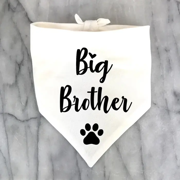 Bandana pour chien Big Brother, pour photos d'annonce de grossesse, jour de l'adoption d'un nouveau 