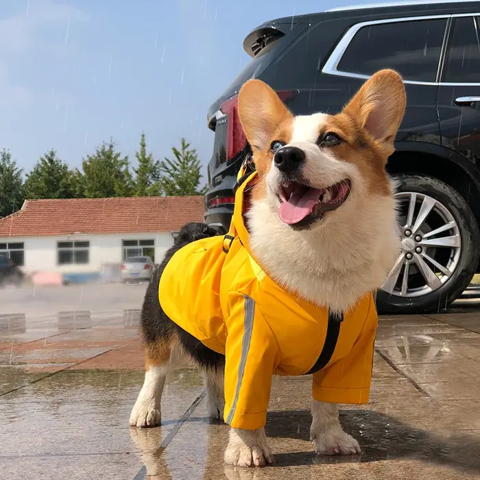Imperméable réfléchissant pour chien avec harnais pour petits chiens