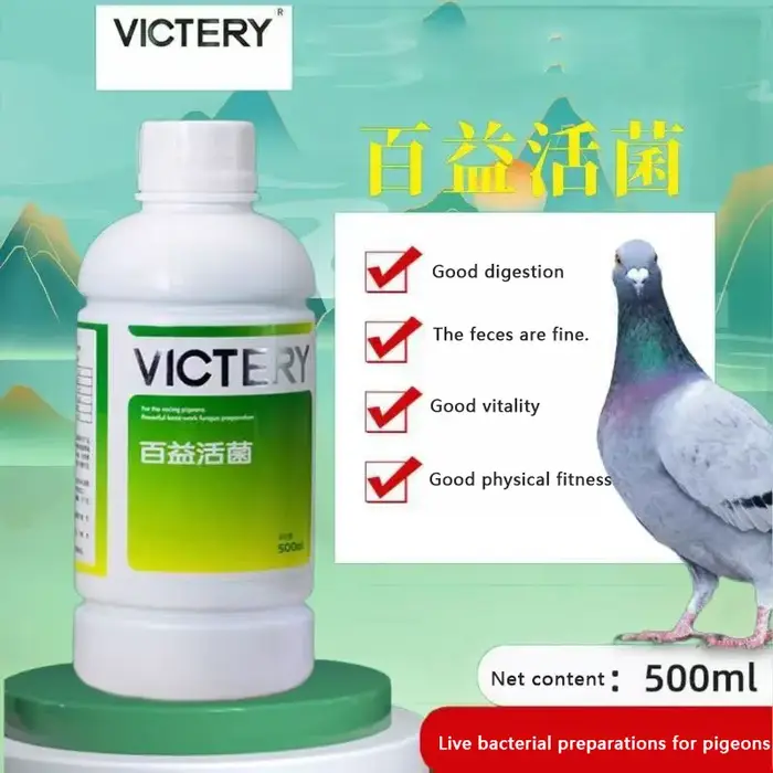 Probiotiques gastro-intestinaux 500ml : Pombes à viande, pigeons de course, pigeons homologués, diar