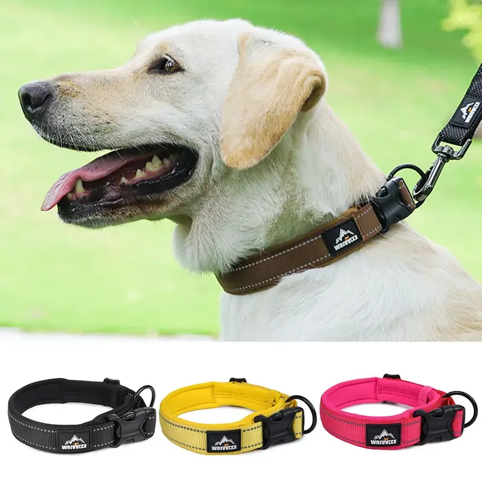 Collier pour chien robuste pour les races moyennes et grandes - Nylon résistant aux morsures