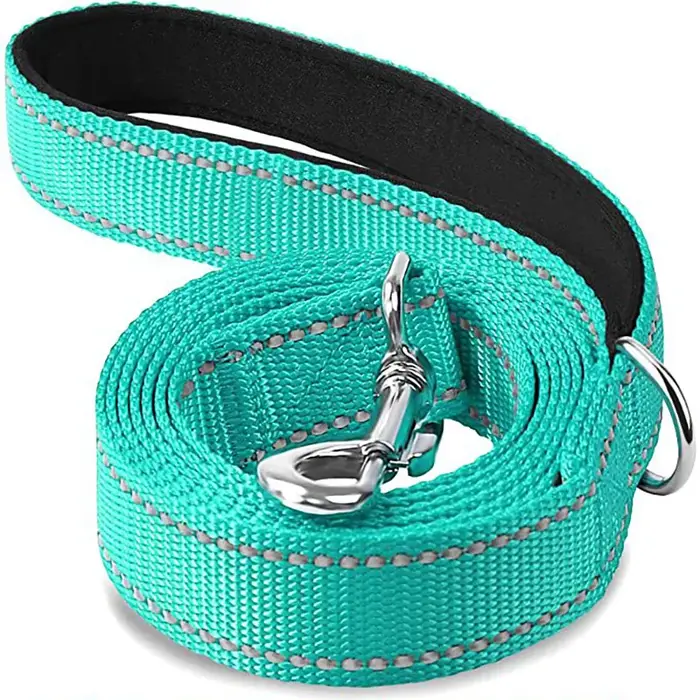 Laisse de sécurité réfléchissante pour animaux de compagnie 1,2/1,5/1,8 m – Corde de traction pour c