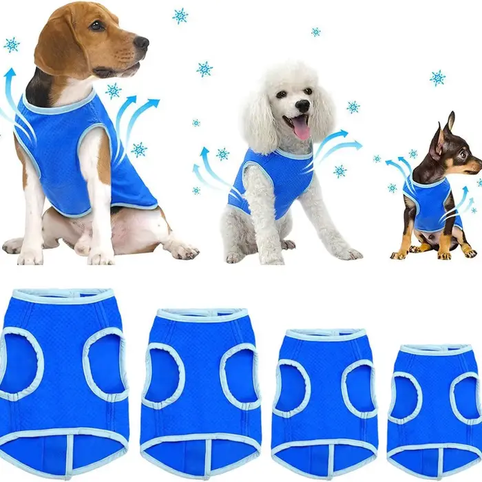 Gilet rafraîchissant pour animaux de compagnie pour chiens et chats